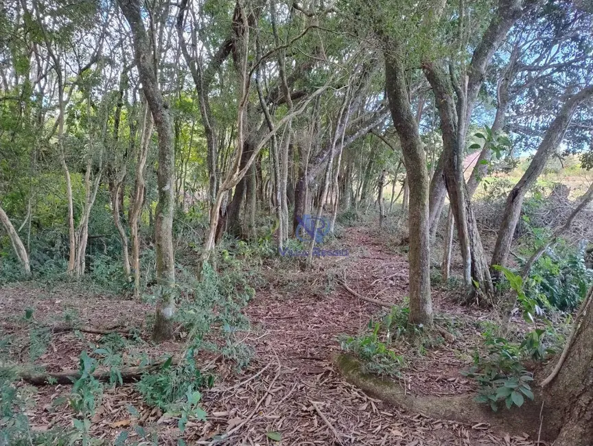 Foto 4 de Terreno / Lote à venda, 17000m2 em Pilar Do Sul - SP