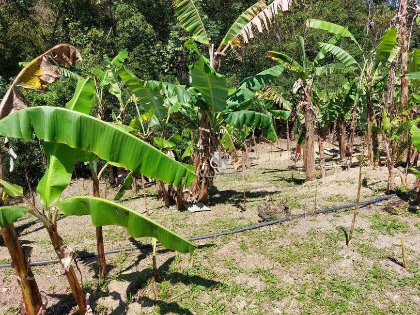 Foto 20 de Sítio / Rancho à venda em Centro, Tapirai - SP