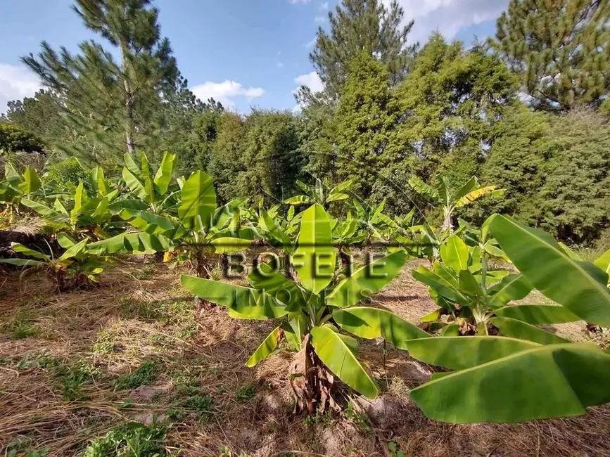 Foto 8 de Chácara com 3 quartos à venda, 25359m2 em Bofete - SP
