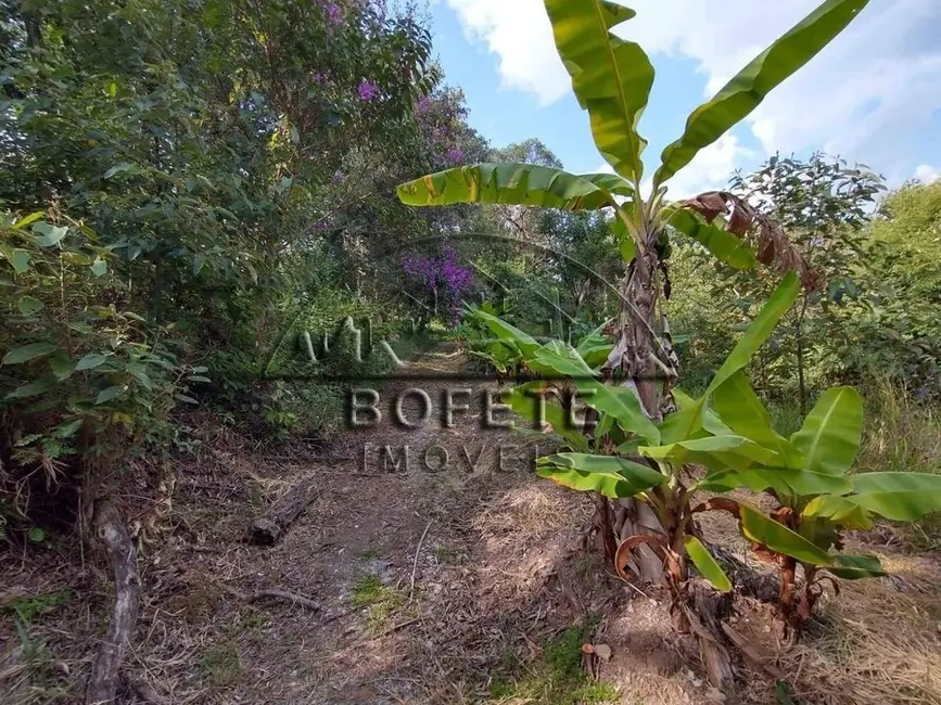 Foto 6 de Chácara com 3 quartos à venda, 25359m2 em Bofete - SP