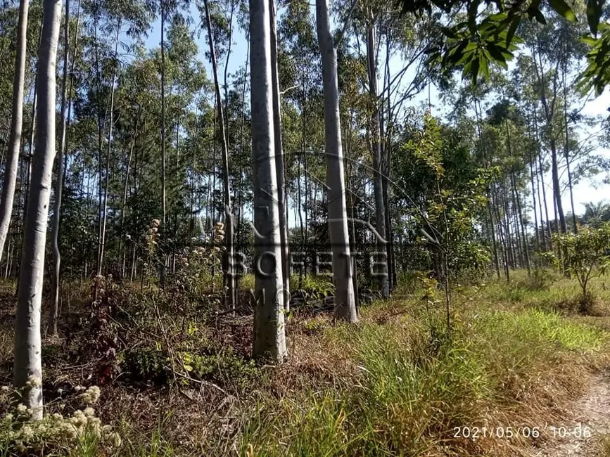 Foto 2 de Chácara à venda, 20000m2 em Bofete - SP