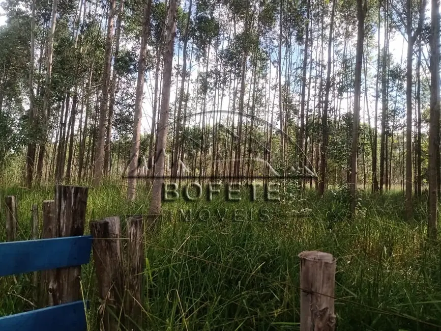 Foto 3 de Chácara à venda, 20000m2 em Bofete - SP