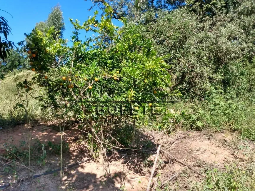 Foto 6 de Chácara com 1 quarto à venda, 21696m2 em Bofete - SP