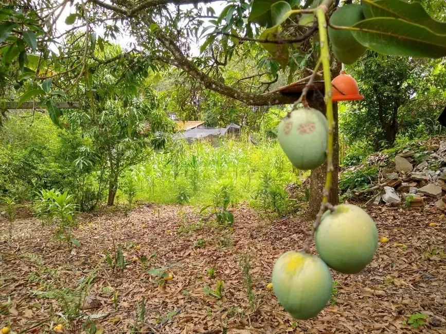 Chácara com 2 quartos à venda, 13000m2 em Porangaba - SP - imagem 5 Foto 5 de Chácara com 2 quartos à venda, 13000m2 em Porangaba - SP