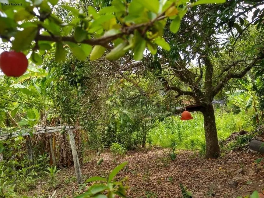 Chácara com 2 quartos à venda, 13000m2 em Porangaba - SP - imagem 6 Foto 6 de Chácara com 2 quartos à venda, 13000m2 em Porangaba - SP