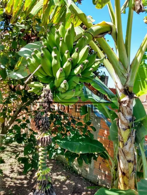 Foto 8 de Chácara com 2 quartos à venda, 1000m2 em Porangaba - SP
