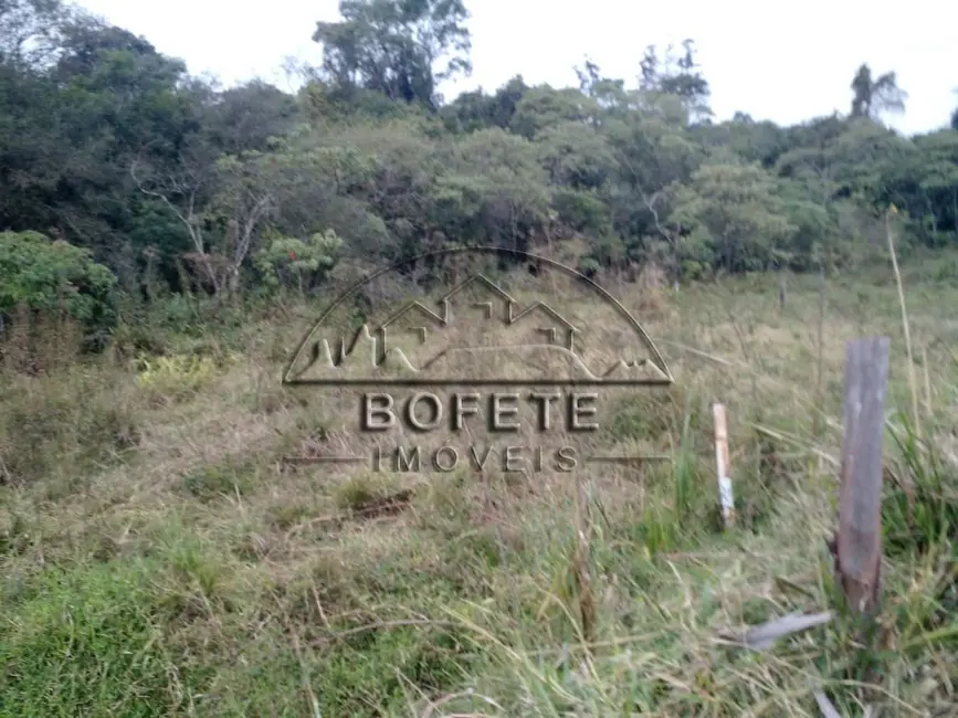 Foto 5 de Chácara com 2 quartos à venda, 5000m2 em Bofete - SP