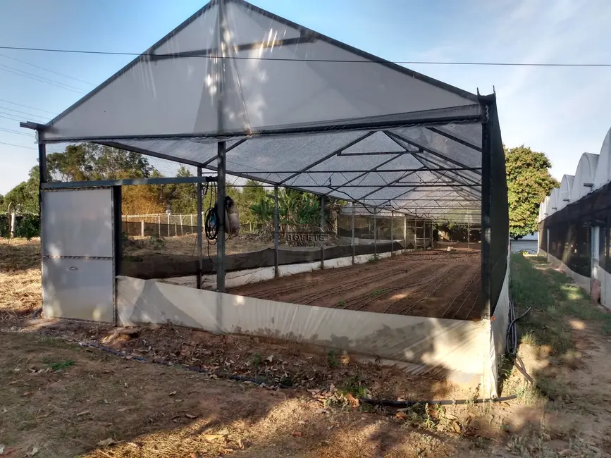 Foto 4 de Chácara com 1 quarto à venda, 2000m2 em Bofete - SP