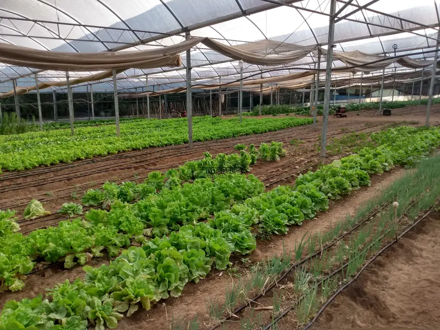 Foto 8 de Chácara com 1 quarto à venda, 2000m2 em Bofete - SP