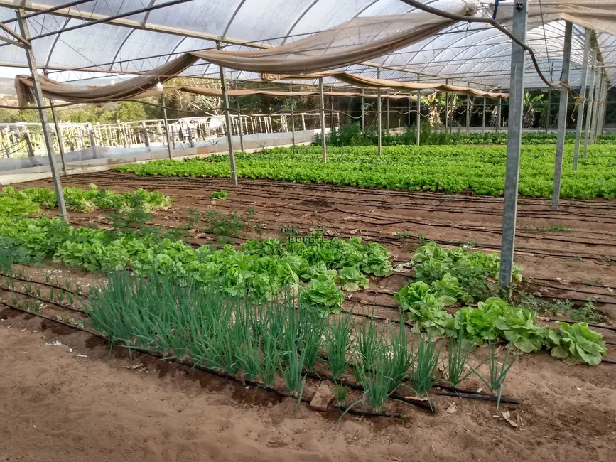 Foto 6 de Chácara com 1 quarto à venda, 2000m2 em Bofete - SP