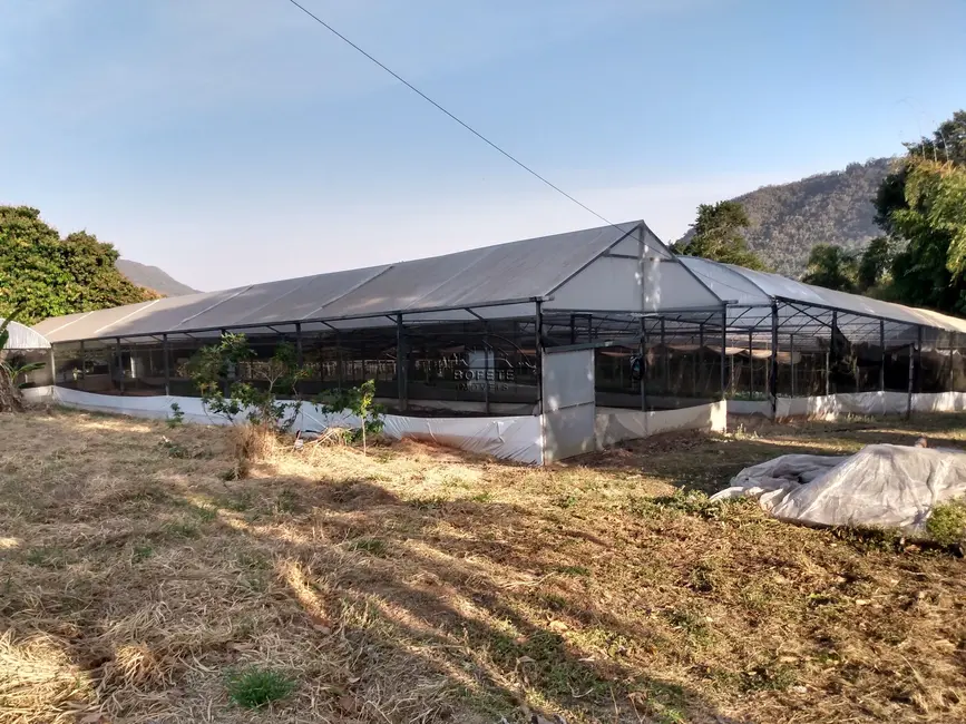 Foto 2 de Chácara com 1 quarto à venda, 2000m2 em Bofete - SP