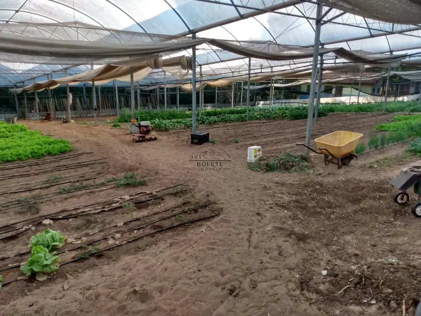 Foto 7 de Chácara com 1 quarto à venda, 2000m2 em Bofete - SP