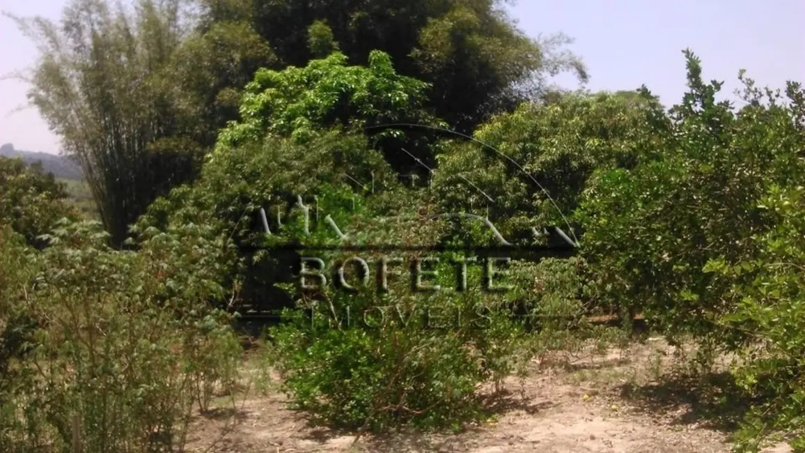 Foto 4 de Chácara com 2 quartos à venda, 20000m2 em Bofete - SP