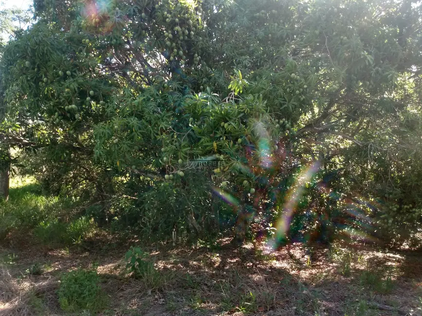 Foto 6 de Chácara com 3 quartos à venda, 300m2 em Bofete - SP