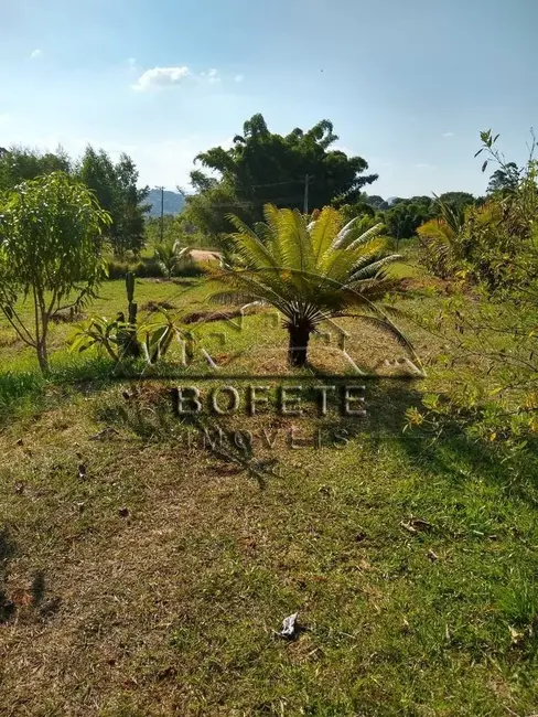 Foto 5 de Chácara com 4 quartos à venda, 10000m2 em Bofete - SP