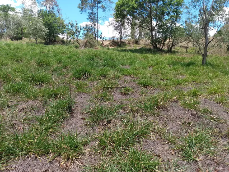 Foto 16 de Chácara à venda, 48000m2 em Bofete - SP