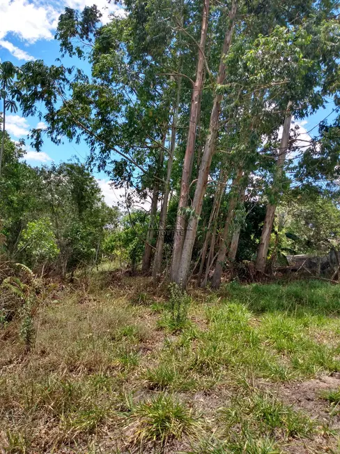 Foto 15 de Chácara à venda, 48000m2 em Bofete - SP