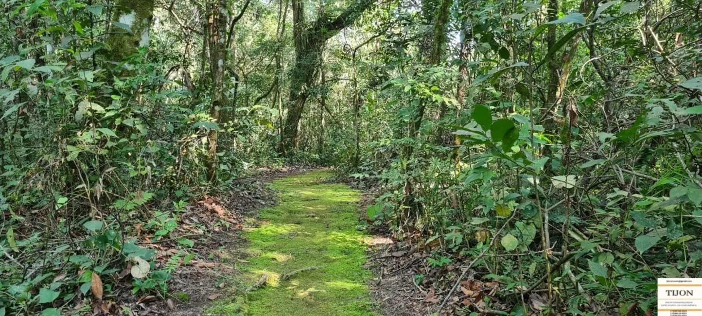 Foto 9 de Terreno / Lote à venda, 1157m2 em Parque Ecoresidencial Fazenda Jequitibá, Sorocaba - SP