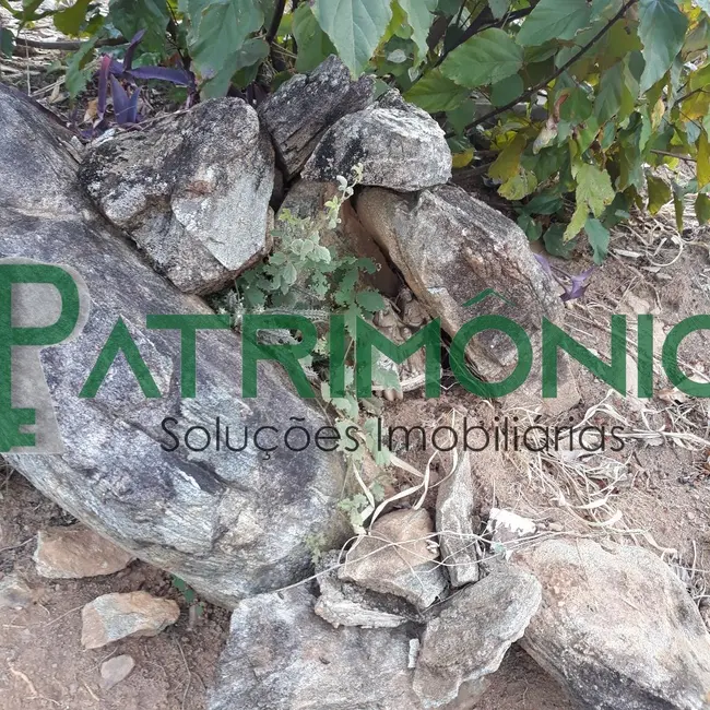 Foto 5 de Chácara à venda em Santo Antonio De Posse - SP