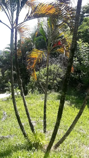 Foto 27 de Terreno / Lote à venda em Jaguariuna - SP