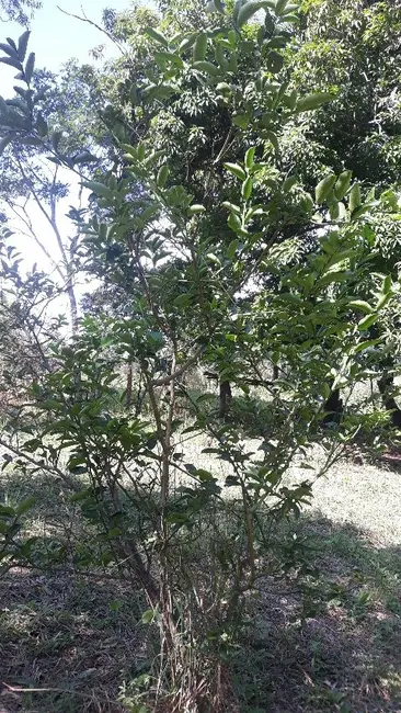 Foto 18 de Terreno / Lote à venda em Jaguariuna - SP