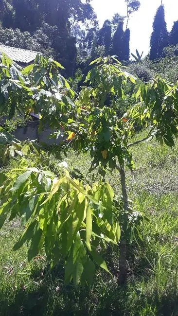 Foto 7 de Terreno / Lote à venda em Jaguariuna - SP
