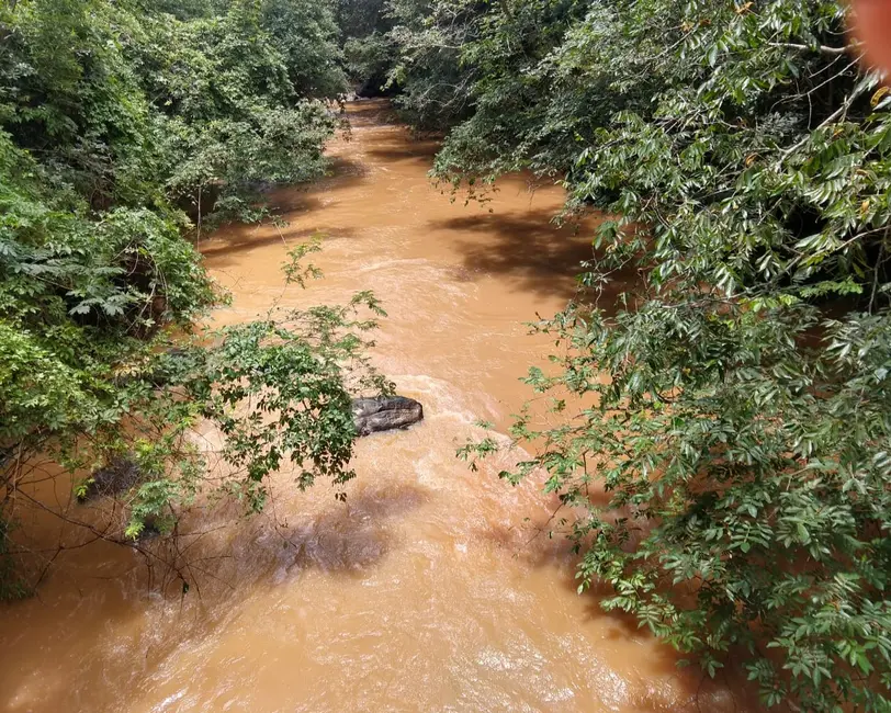 Foto 7 de Sítio / Rancho com 3 quartos à venda, 150m2 em Vila Mariana, Mococa - SP