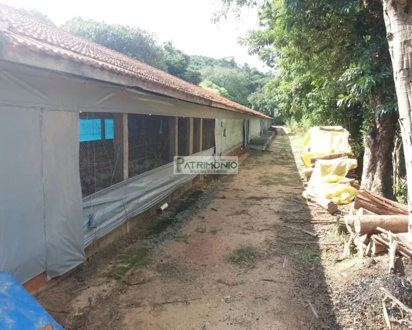 Foto 5 de Sítio / Rancho com 2 quartos à venda, 48000m2 em Pedreira - SP