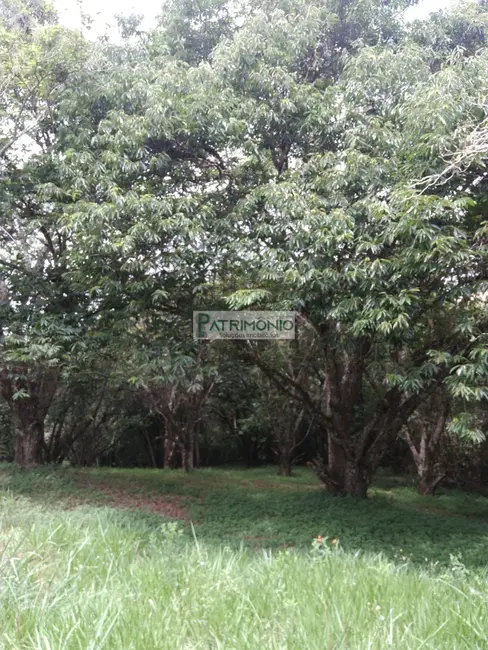 Foto 6 de Terreno / Lote à venda, 1200m2 em Ibiuna - SP