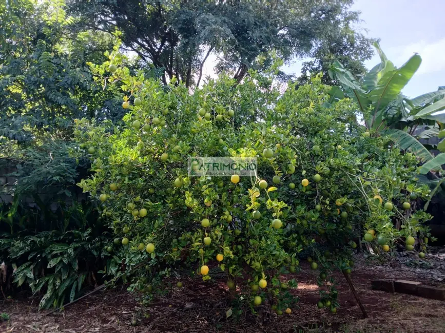 Foto 3 de Chácara com 2 quartos à venda, 337m2 em Jaguariuna - SP