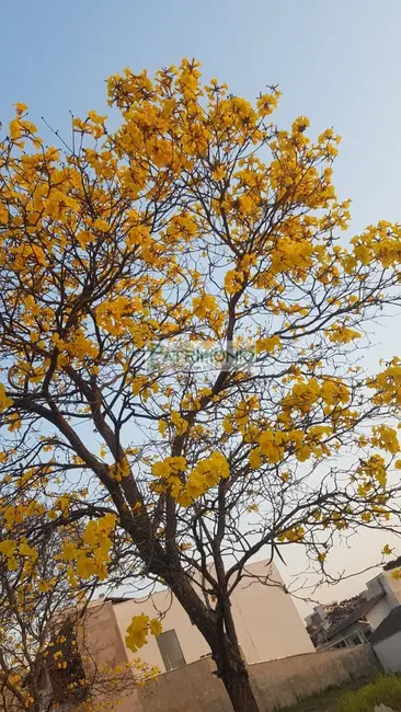 Foto 4 de Terreno / Lote à venda, 250m2 em Jaguariuna - SP