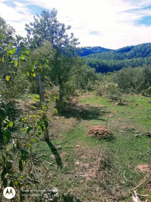 Sítio / Rancho à venda em Pedreira - SP - imagem 16 Foto 16 de Sítio / Rancho à venda em Pedreira - SP
