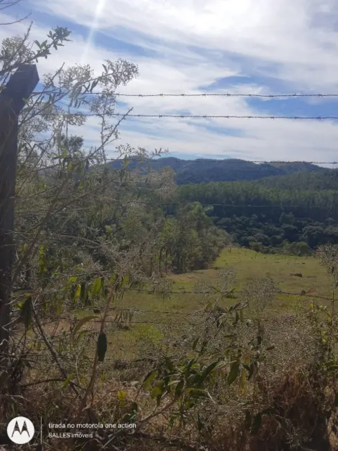 Sítio / Rancho à venda em Pedreira - SP - imagem 12 Foto 12 de Sítio / Rancho à venda em Pedreira - SP