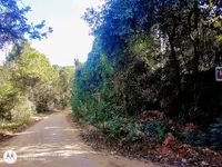 Imagem 13