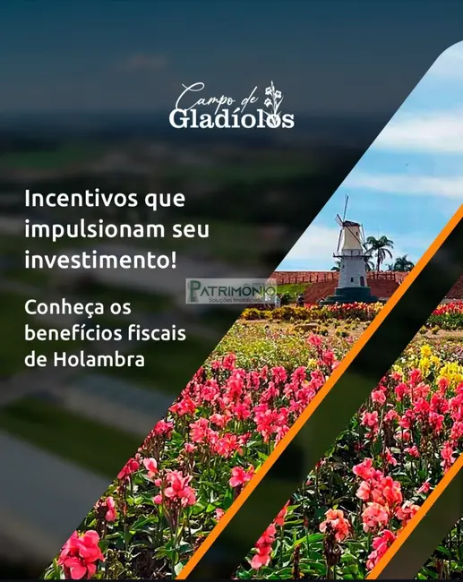 Foto 7 de Terreno / Lote à venda, 855m2 em Holambra - SP