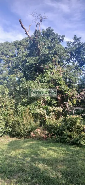 Foto 8 de Chácara com 4 quartos à venda, 350m2 em Bananal, Campinas - SP