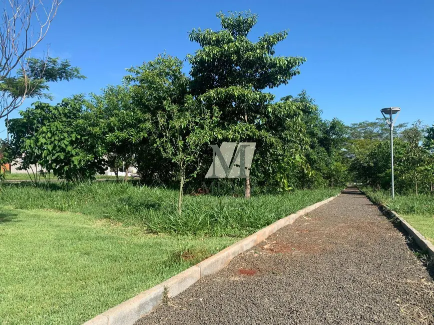 Foto 8 de Terreno / Lote à venda, 200m2 em Vila Monte Alegre, Paulinia - SP