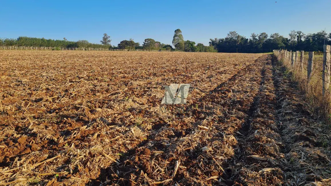 Foto 8 de Sala Comercial à venda, 123726m2 em Mogi Mirim - SP