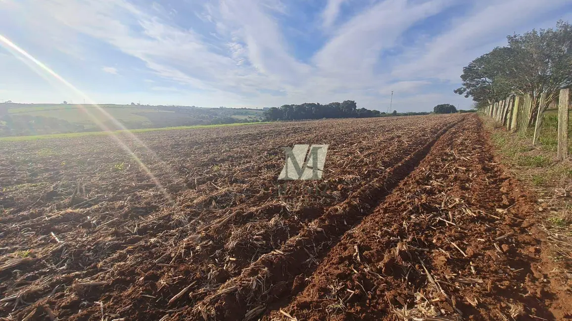 Foto 7 de Sala Comercial à venda, 123726m2 em Mogi Mirim - SP