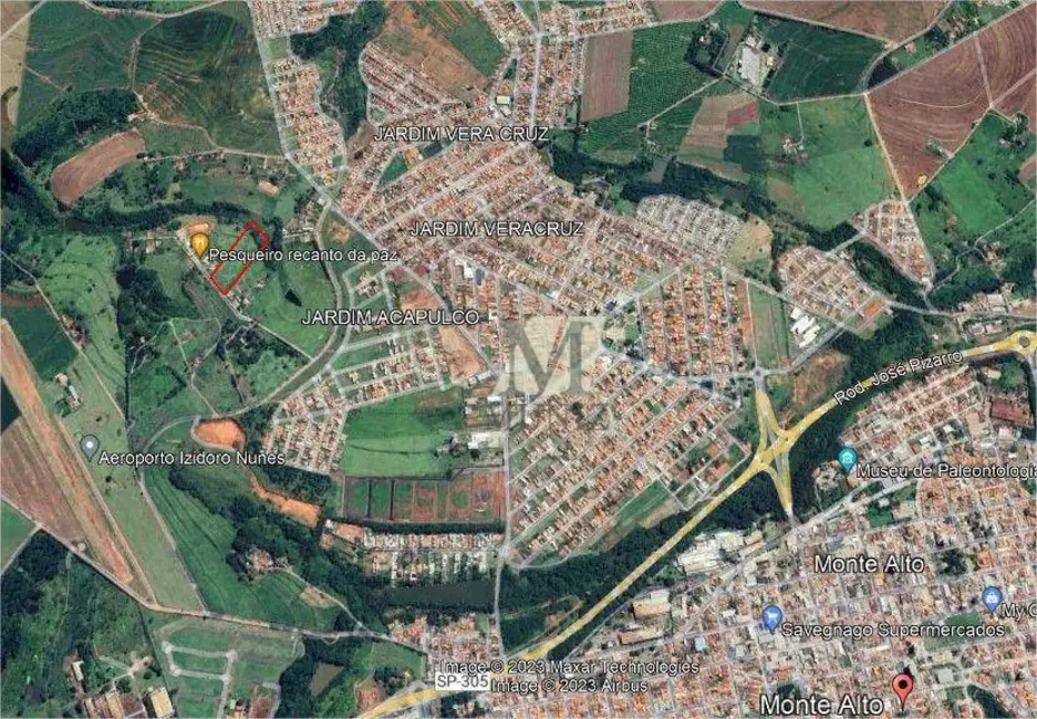 Foto 4 de Sala Comercial à venda, 20000m2 em Monte Alto - SP