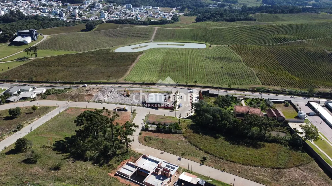 Terreno / Lote à venda, 563m2 em Flores Da Cunha - RS - imagem 3 Foto 3 de Terreno / Lote à venda, 563m2 em Flores Da Cunha - RS