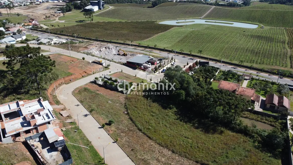 Foto 2 de Terreno / Lote à venda, 563m2 em Flores Da Cunha - RS