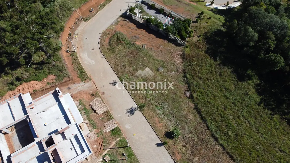 Terreno / Lote à venda, 563m2 em Flores Da Cunha - RS - imagem 5 Foto 5 de Terreno / Lote à venda, 563m2 em Flores Da Cunha - RS