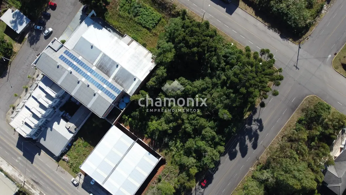 Terreno / Lote à venda, 420m2 em Flores Da Cunha - RS - imagem 7 Foto 7 de Terreno / Lote à venda, 420m2 em Flores Da Cunha - RS