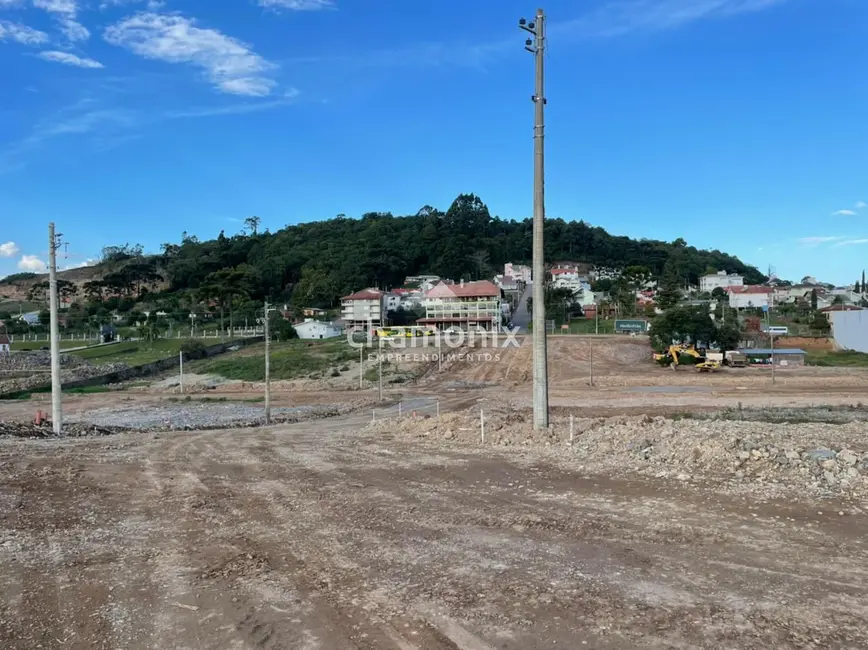 Terreno / Lote à venda, 324m2 em Centro, Flores Da Cunha - RS - imagem 7 Foto 7 de Terreno / Lote à venda, 324m2 em Centro, Flores Da Cunha - RS