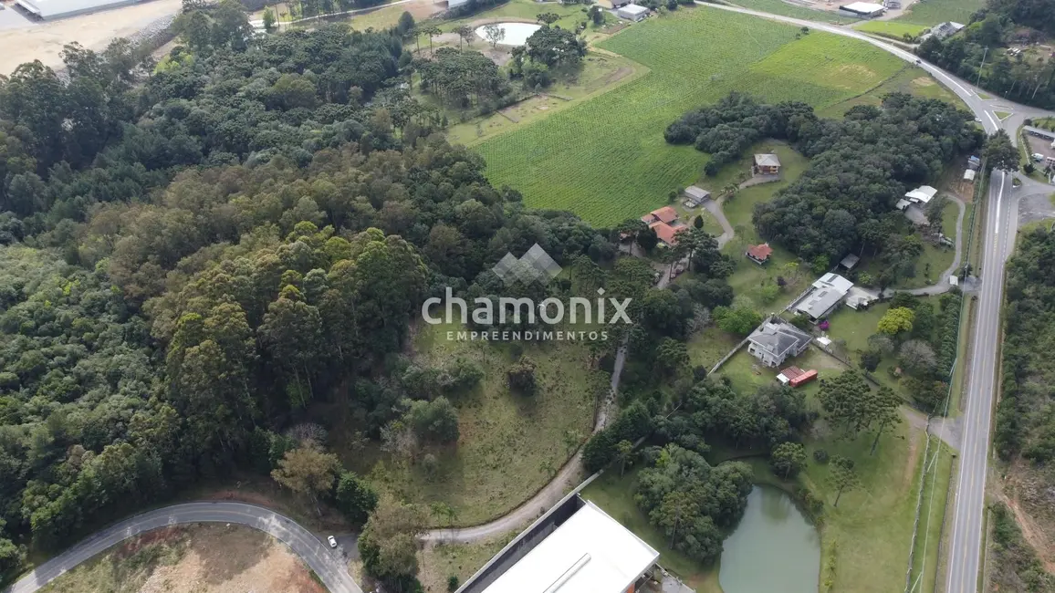 Foto 7 de Chácara com 3 quartos à venda, 600m2 em Flores Da Cunha - RS