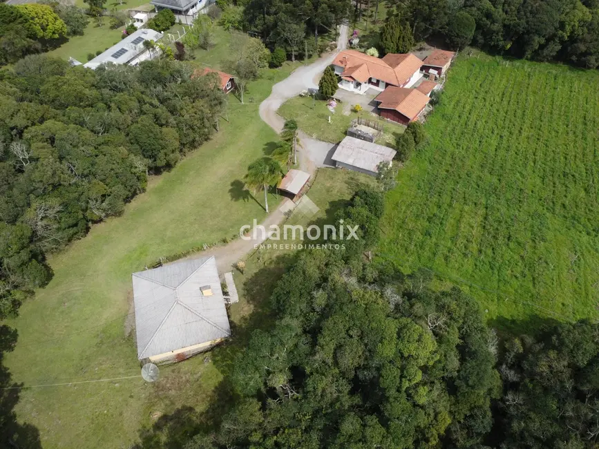 Foto 4 de Chácara com 3 quartos à venda, 600m2 em Flores Da Cunha - RS