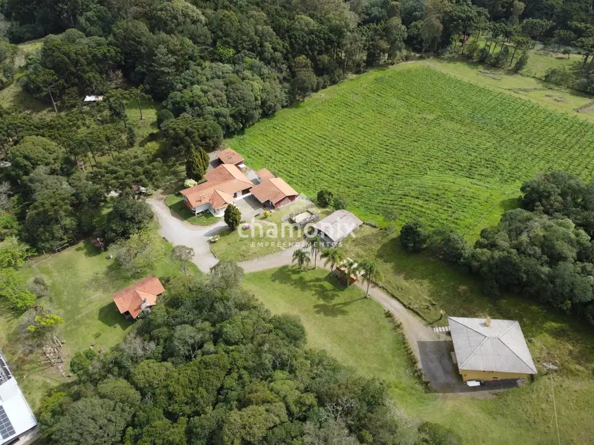 Foto 3 de Chácara com 3 quartos à venda, 600m2 em Flores Da Cunha - RS