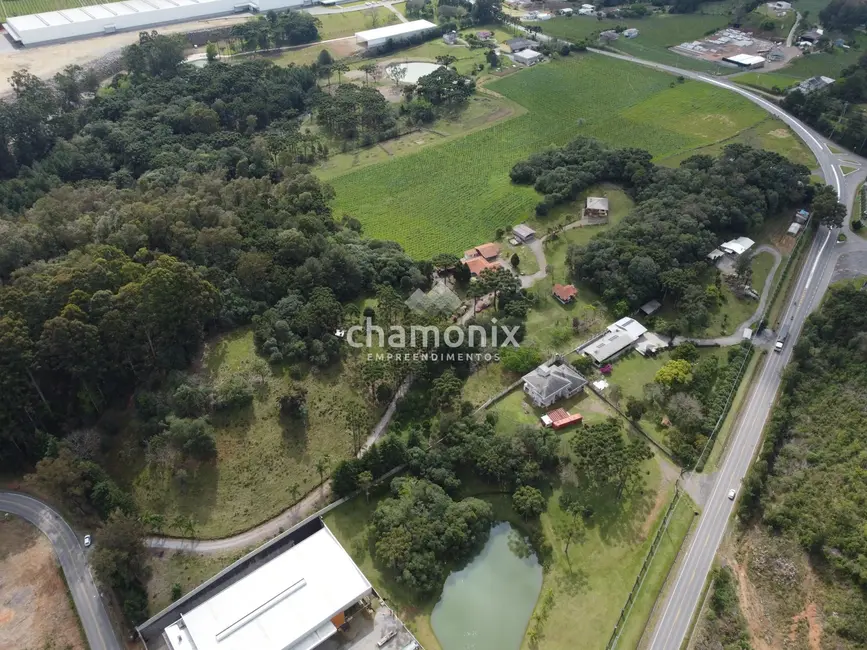 Foto 9 de Chácara com 3 quartos à venda, 600m2 em Flores Da Cunha - RS