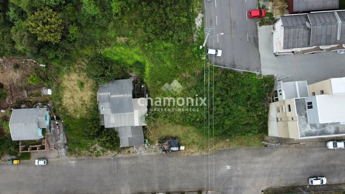 Terreno / Lote à venda, 312m2 em Flores Da Cunha - RS - imagem 8 Foto 8 de Terreno / Lote à venda, 312m2 em Flores Da Cunha - RS